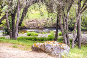 Secluded Placerville Cabin with Deck Walk to River!